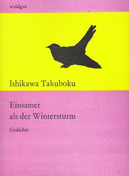 Einsamer als der Wintersturm. Gedichte der Sammlung Trauriges Spielzeug.