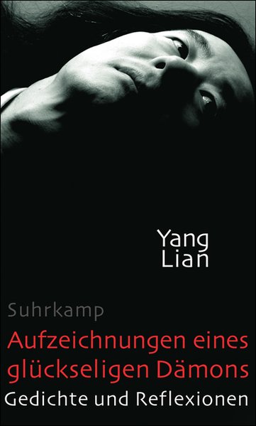 Aufzeichnungen eines glückseligen Dämons. Gedichte und Reflexionen
