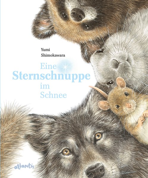Sternschnuppe im Schnee
