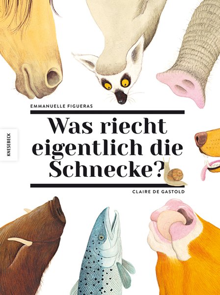 Was riecht eigentlich die Schnecke? Über den Geruchssinn der Tiere