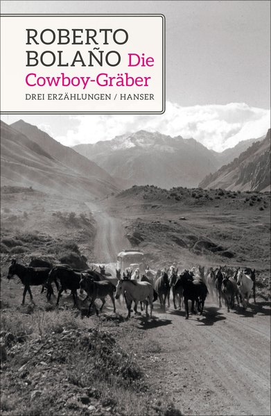 Cowboygräber. Drei Erzählungen